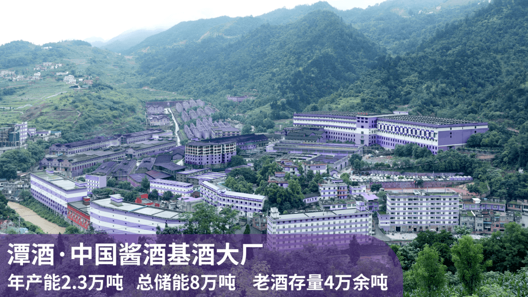 云开官网入口真年份