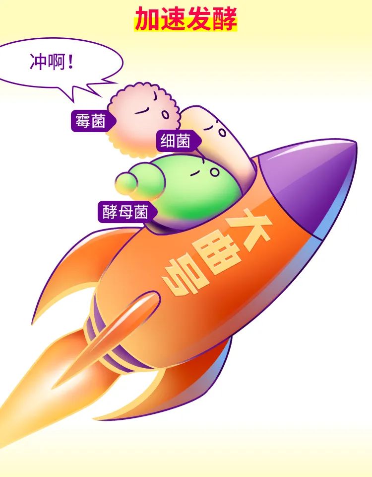 云开官网入口-酱酒内行大师班第二课-制曲原料小麦
