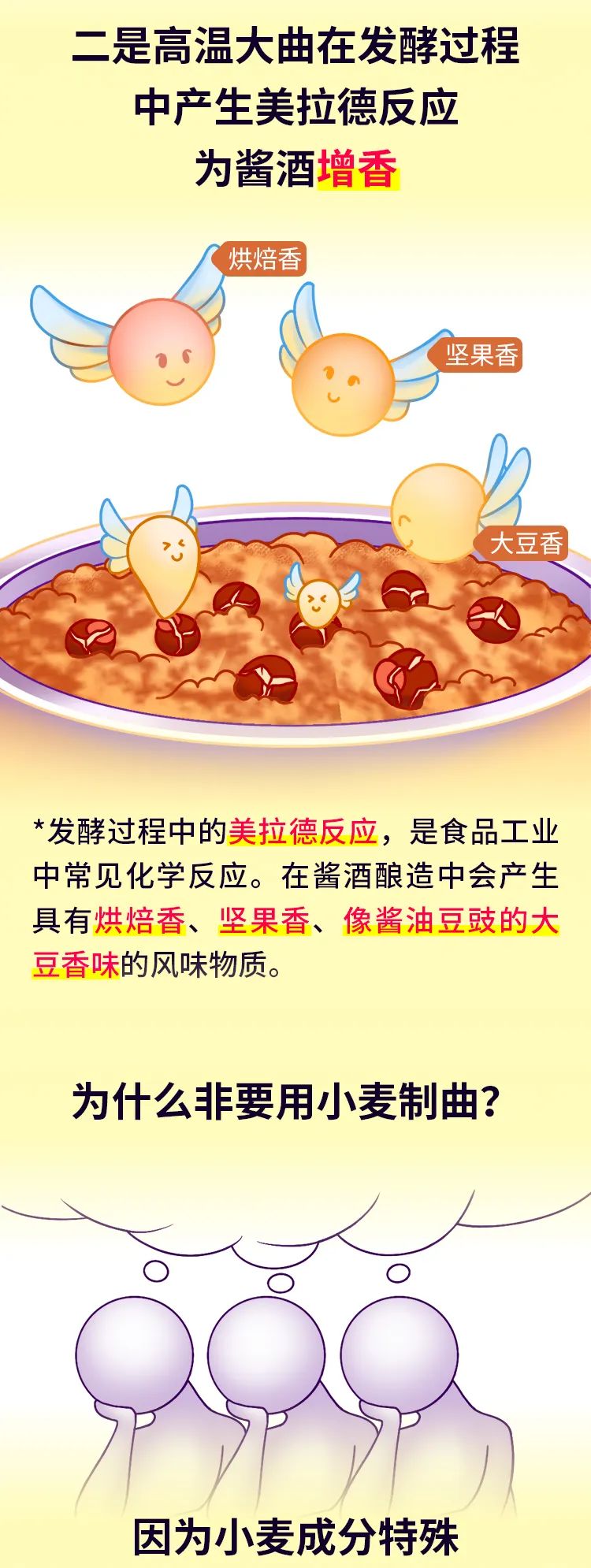 云开官网入口-酱酒内行大师班第二课-制曲原料小麦