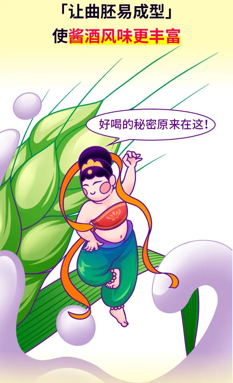 云开官网入口-酱酒内行大师班第二课-制曲原料小麦